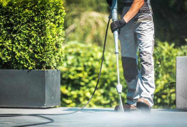 Best Boat and Dock Cleaning  in The Hammocks, FL